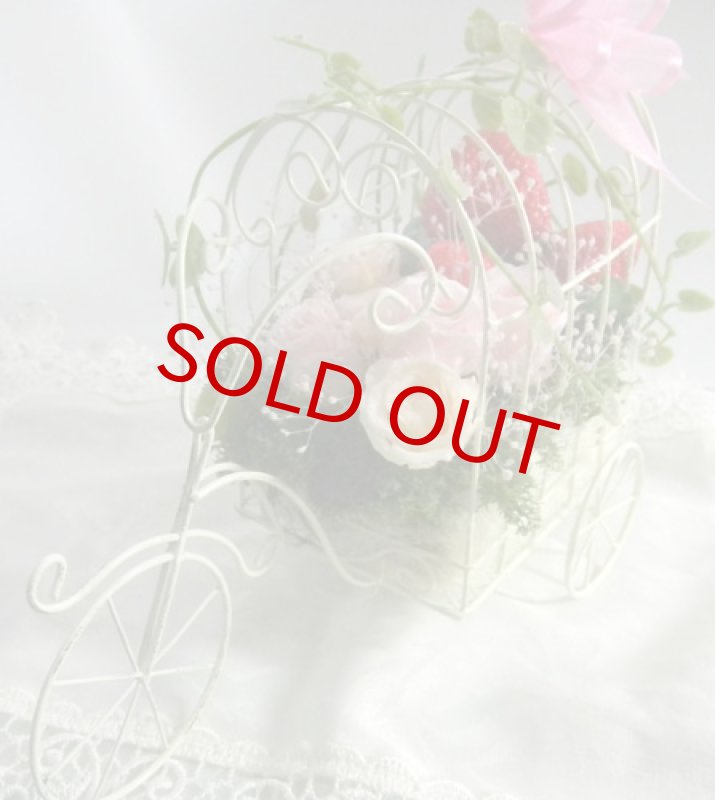 画像5: Strawberry Field (5)