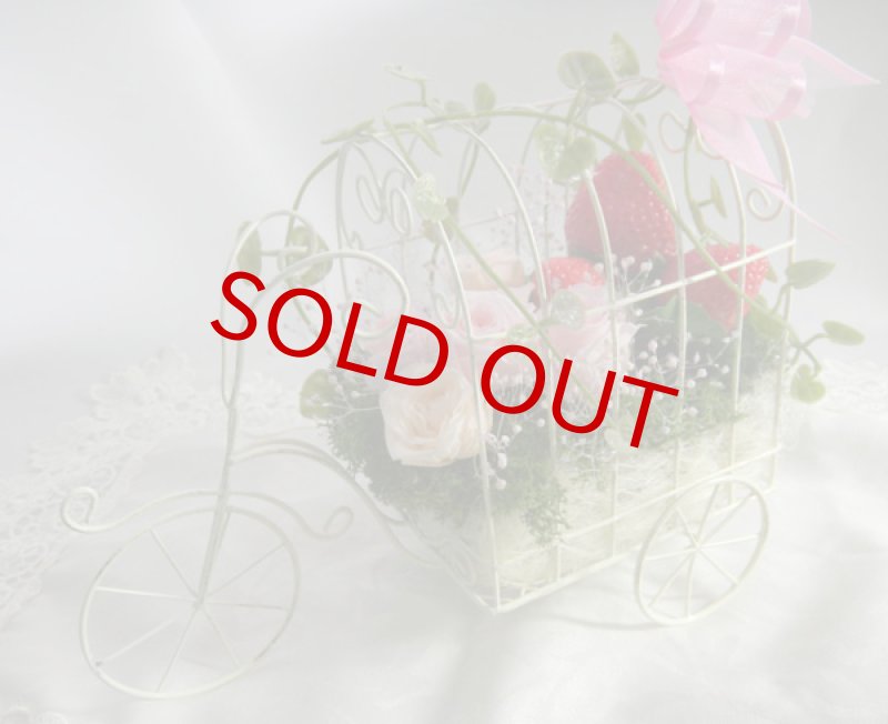 画像2: Strawberry Field (2)