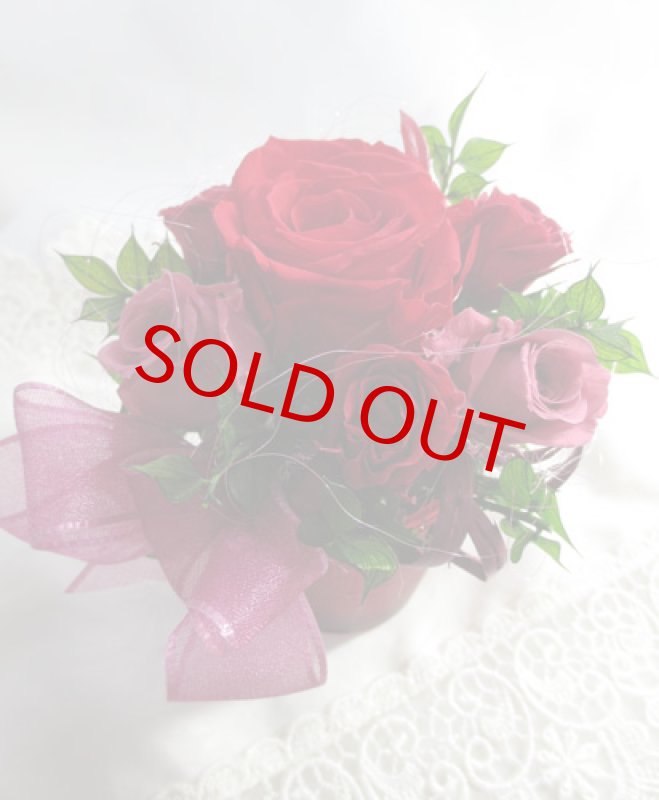 画像5: Red roses (5)