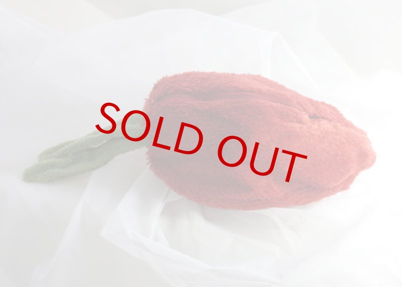 画像2: Rabbit in the carrot (2)