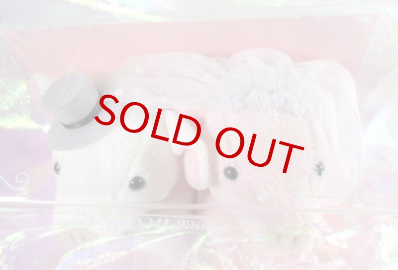 画像4: ウエルカム・ピッグ (4)