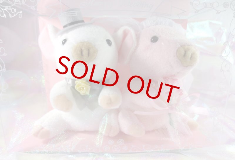 画像5: ウエルカム・ピッグ (5)