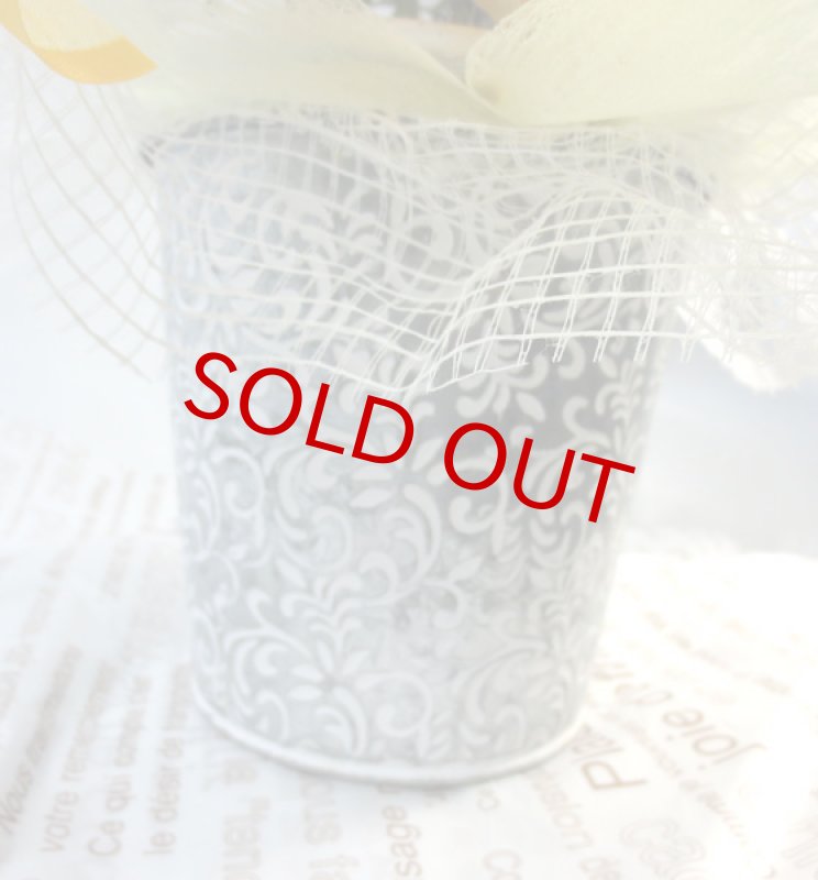 画像2: ウインターコスモスの鉢植えギフト (2)