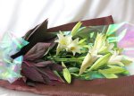 画像1: 鉄砲百合の花束Easter lily (1)