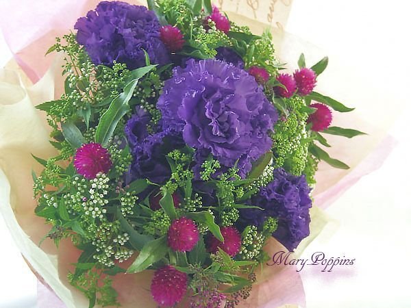 下野 シモツケ の花束 フラワーギフトmarypoppins 下野 シモツケ の花束 フラワーギフトmarypoppins