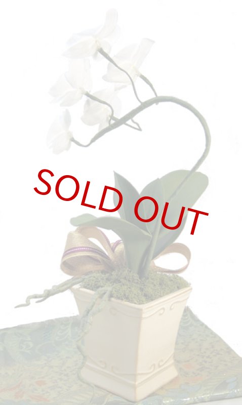 画像3: KOCHOU-鉢植え仕立てのプリザーブド胡蝶蘭 (3)