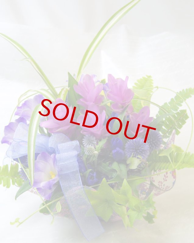 青とピンクのサマープレートアレンジ