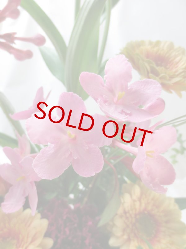 画像3: 匂い桜のプレートアレンジメント (3)