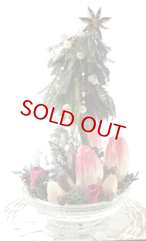 画像6: プリザーブド・チューリップのアレンジ〜Christmas forest (6)