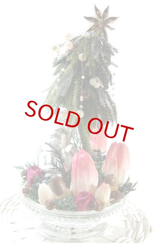 画像5: プリザーブド・チューリップのアレンジ〜Christmas forest (5)