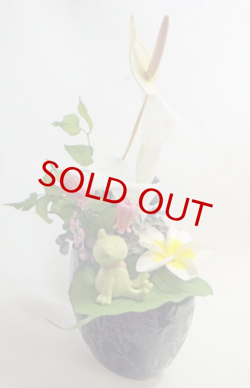 画像4: プリザーブドアレンジ〜with happy rain（かえるの雨宿り） (4)