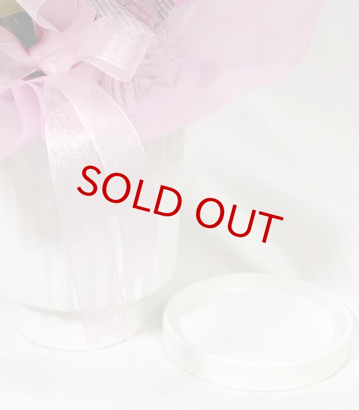 画像4: ブーゲンビリアの鉢植えギフト (4)