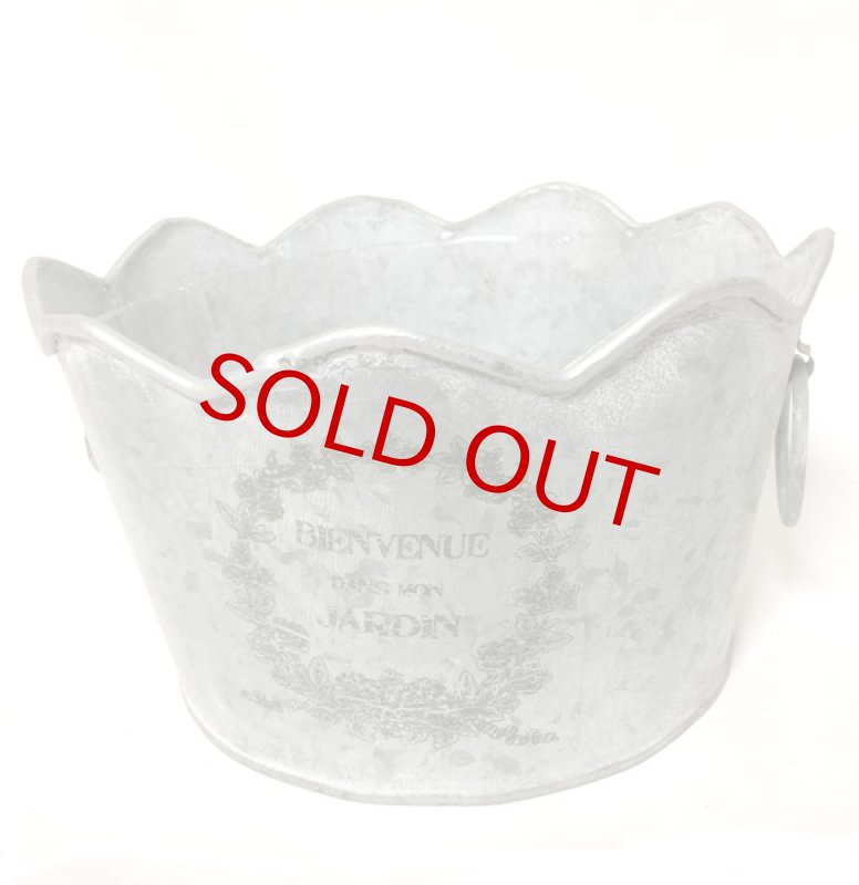 画像5: 百日草（ジニア）とメランポジウムの寄せ鉢ギフト (5)