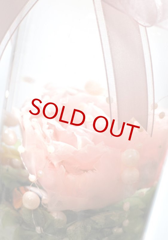 画像6: 芍薬のハーバリウム・アレンジ〜peony (6)