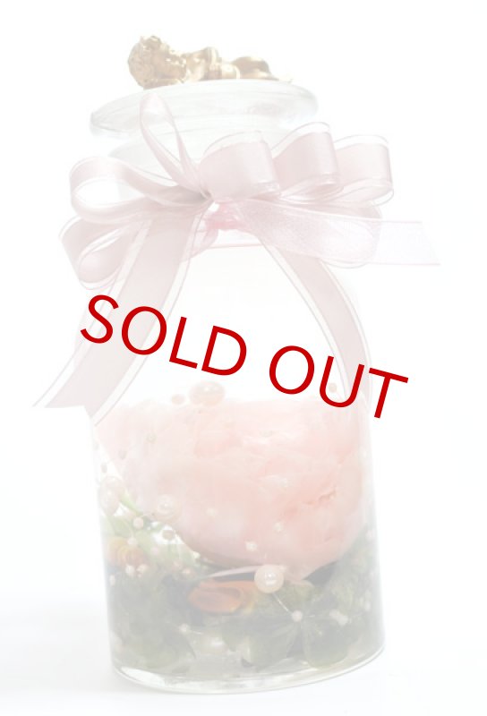 画像3: 芍薬のハーバリウム・アレンジ〜peony (3)