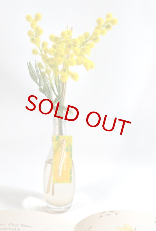 画像7: フラワーボトルディフューザー (7)