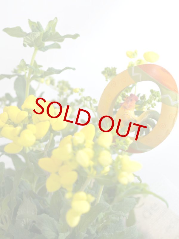 画像4: カルセオラリアの鉢植えギフト (4)