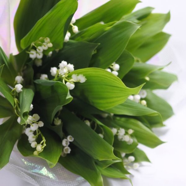 鈴蘭（スズラン）の花束〜Muguet｜フラワーギフトMaryPoppins