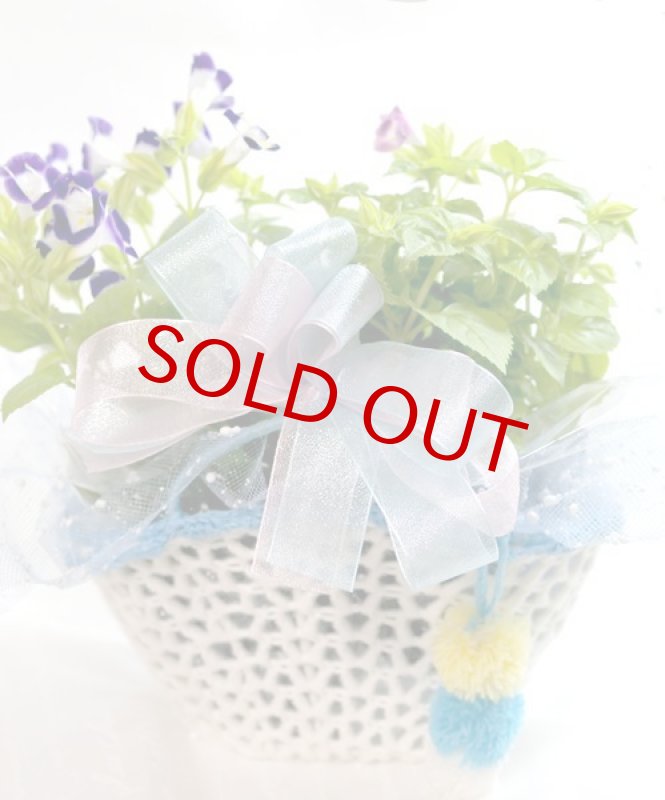 画像4: トレニアのバスケットギフト (4)