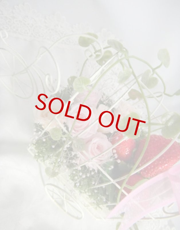 画像4: Strawberry Field (4)