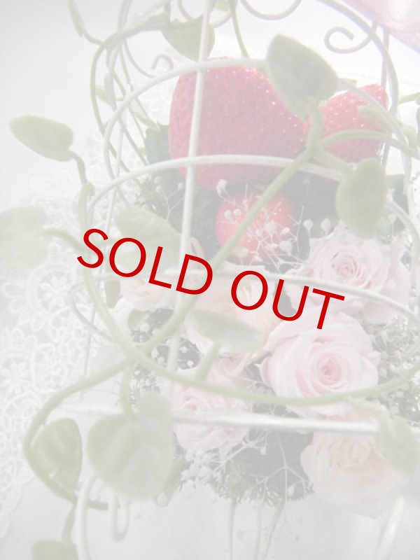 画像3: Strawberry Field (3)