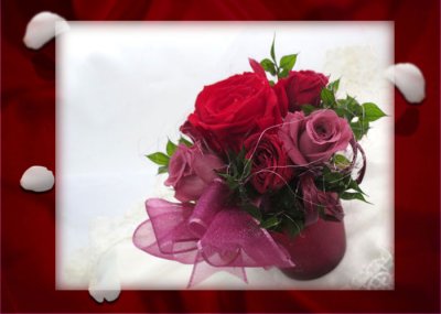 画像3: Red roses