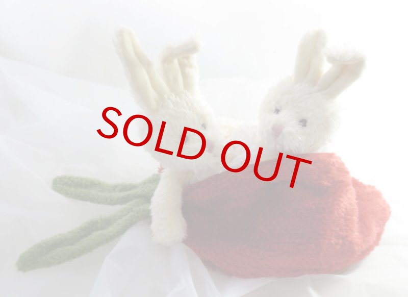 画像5: Rabbit in the carrot (5)