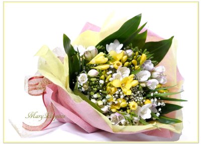 画像3: フリージアの花束