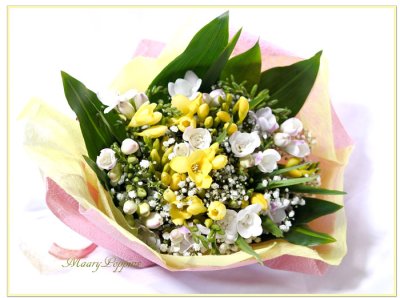 画像1: フリージアの花束