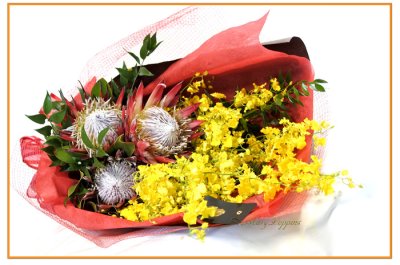 画像1: キングプロテアとオンシジウムの花束