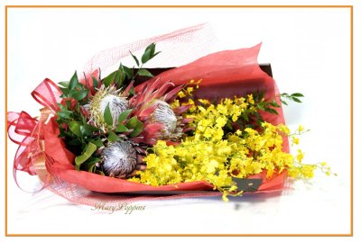 画像3: キングプロテアとオンシジウムの花束