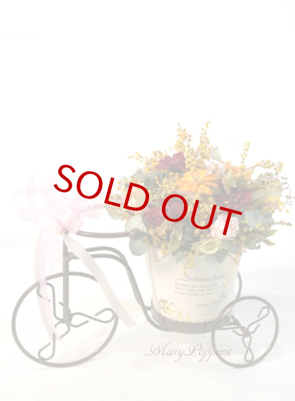 画像6: ミモザを摘んで・・ (6)