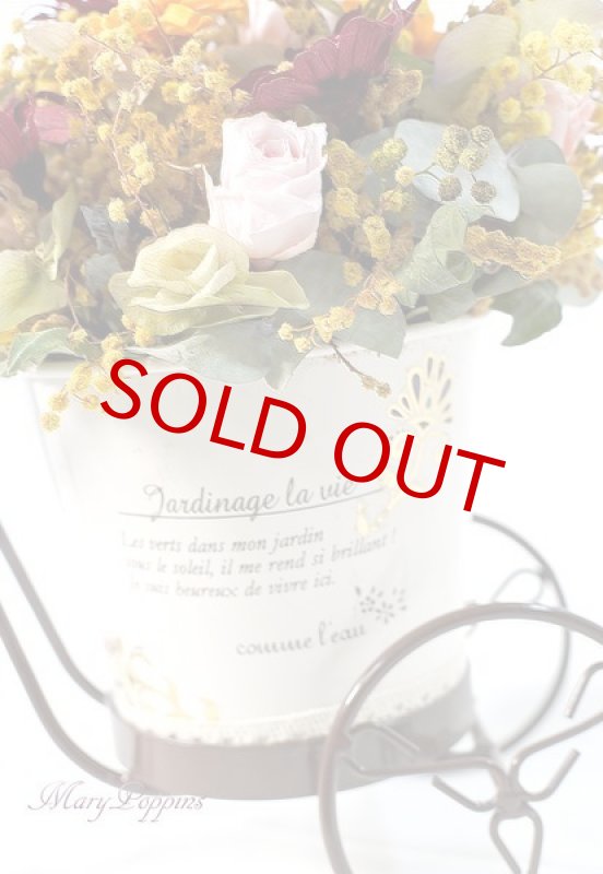 画像5: ミモザを摘んで・・ (5)