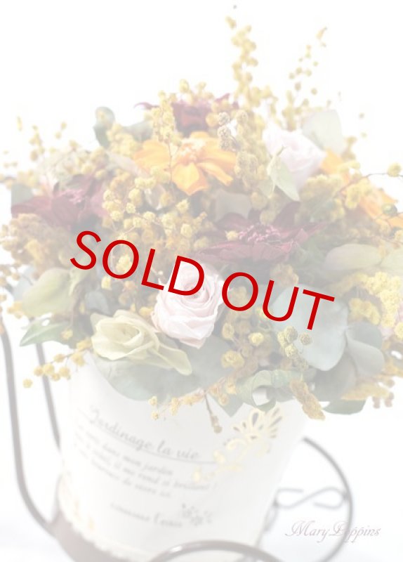 画像4: ミモザを摘んで・・ (4)