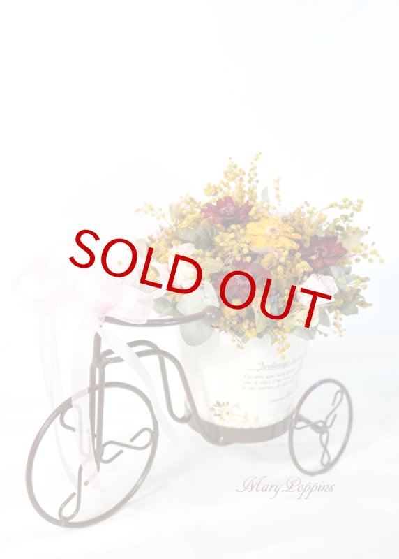 画像2: ミモザを摘んで・・ (2)