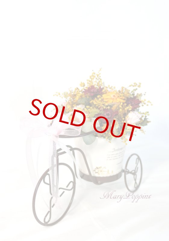 画像3: ミモザを摘んで・・ (3)