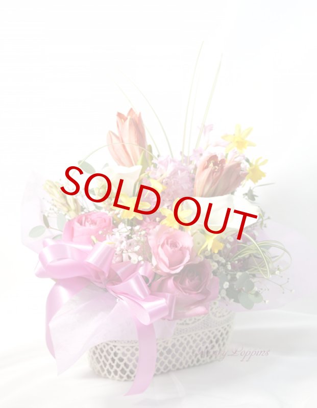 画像5: アマリリスとヒヤシンスの春のアレンジメント (5)