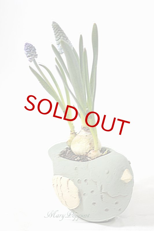 画像5: ムスカリと小鳥の鉢植えギフト (5)