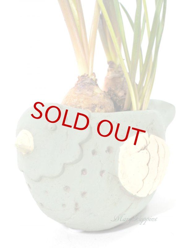 画像4: ムスカリと小鳥の鉢植えギフト (4)