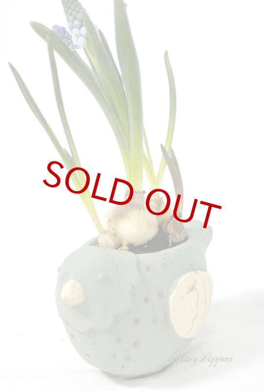 画像3: ムスカリと小鳥の鉢植えギフト (3)