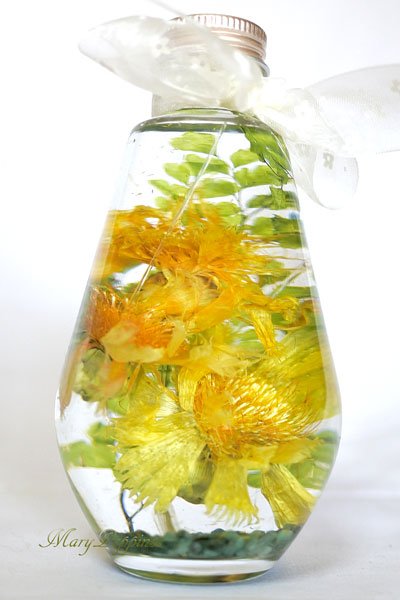 イエローサルタンとエメラルドさざれ石のハーバリウム|フラワー  