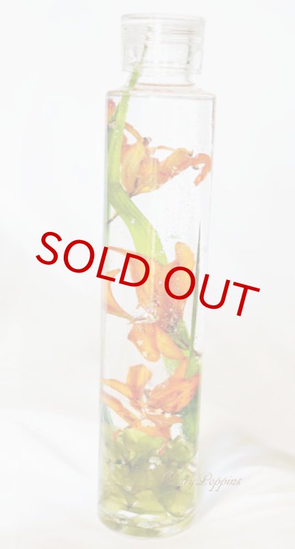 画像4: 姫百合のハーバリウム (4)