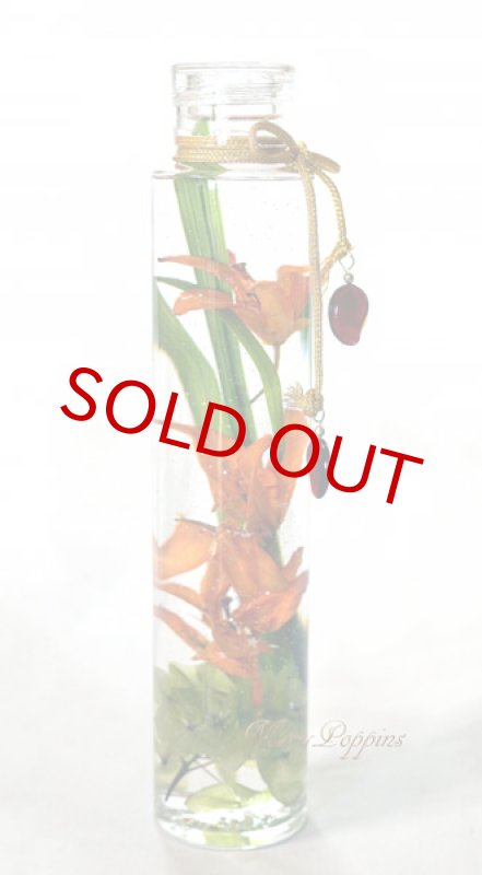 画像1: 姫百合のハーバリウム (1)