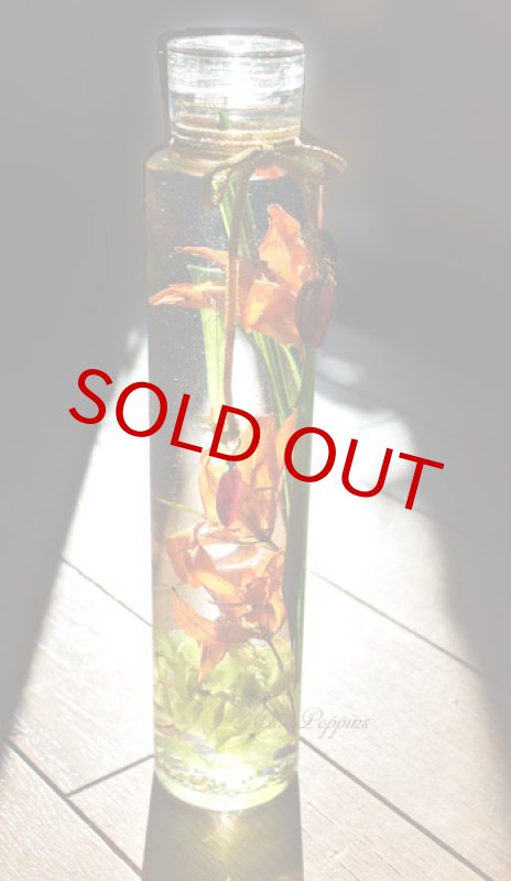 画像6: 姫百合のハーバリウム (6)