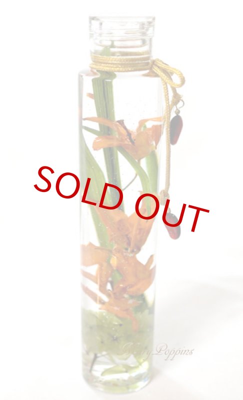 画像3: 姫百合のハーバリウム (3)