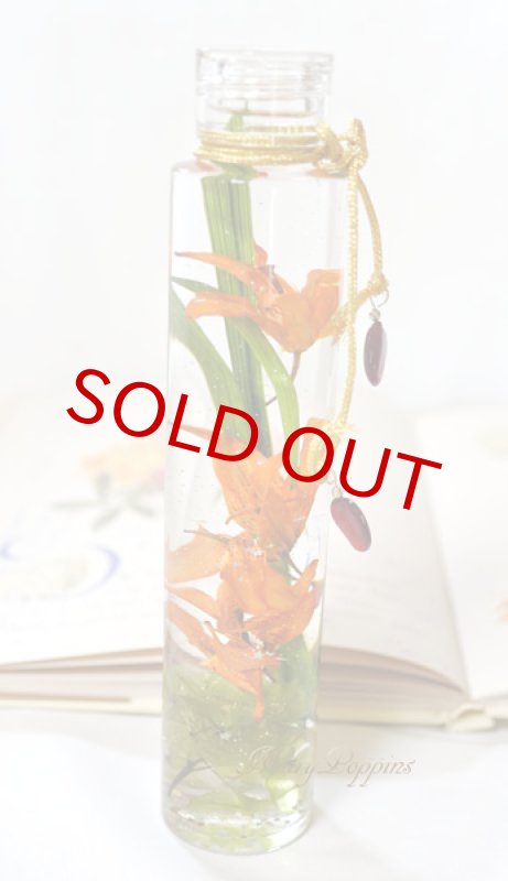 画像5: 姫百合のハーバリウム (5)