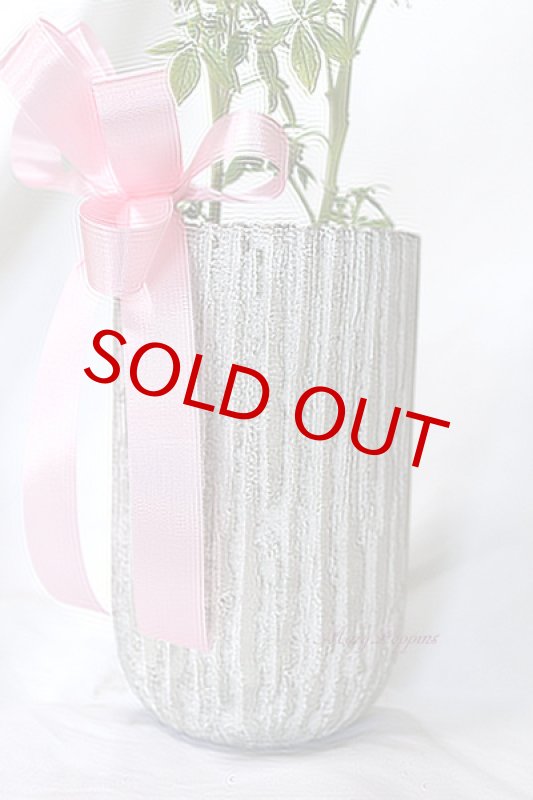 画像4: クレオメの鉢植えギフト (4)