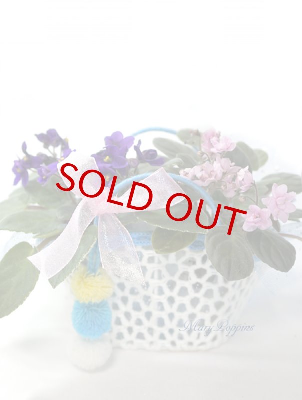 画像6: セントポーリアの鉢植えギフトset (6)