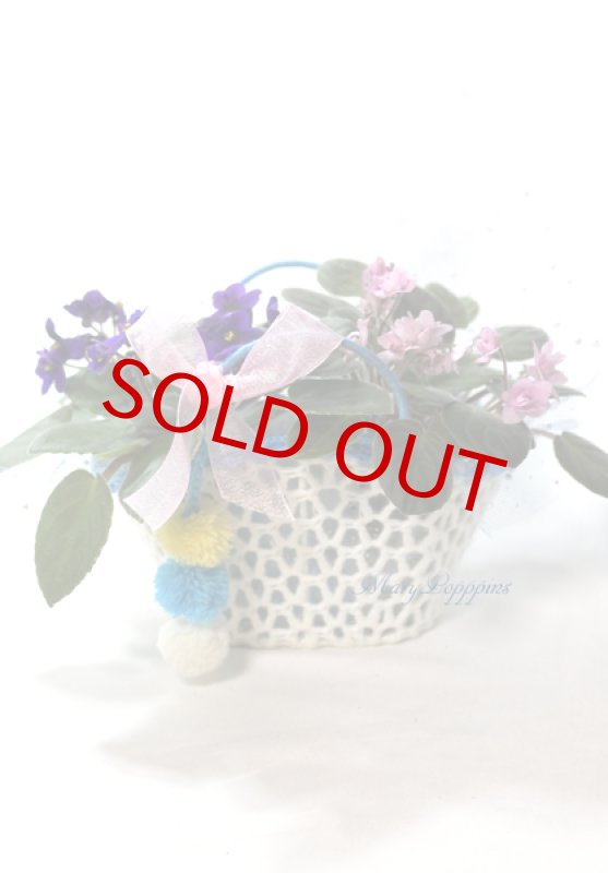 画像3: セントポーリアの鉢植えギフトset (3)