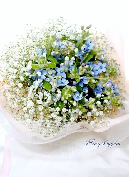 ブルースターとかすみ草の花束・happy love｜フラワーギフトMaryPoppins